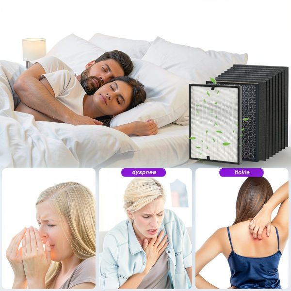 Amboseli Air Purifier Filters 10 Pack Replacement Set-5