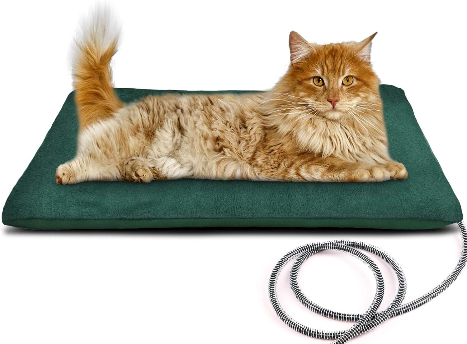 Petnf heating pad placed in a cozy indoor setting with a cat resting on it
