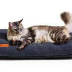 TIMSUNBER Self Warming Cat Bed Double Padded Removable-0