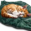 Rzxlszy Cat Leaf Mat Flannel Cotton Pet Bed Mat-0