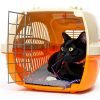 Drydiet Self Warming Cat Bed Mat Removable Washable Cover-3